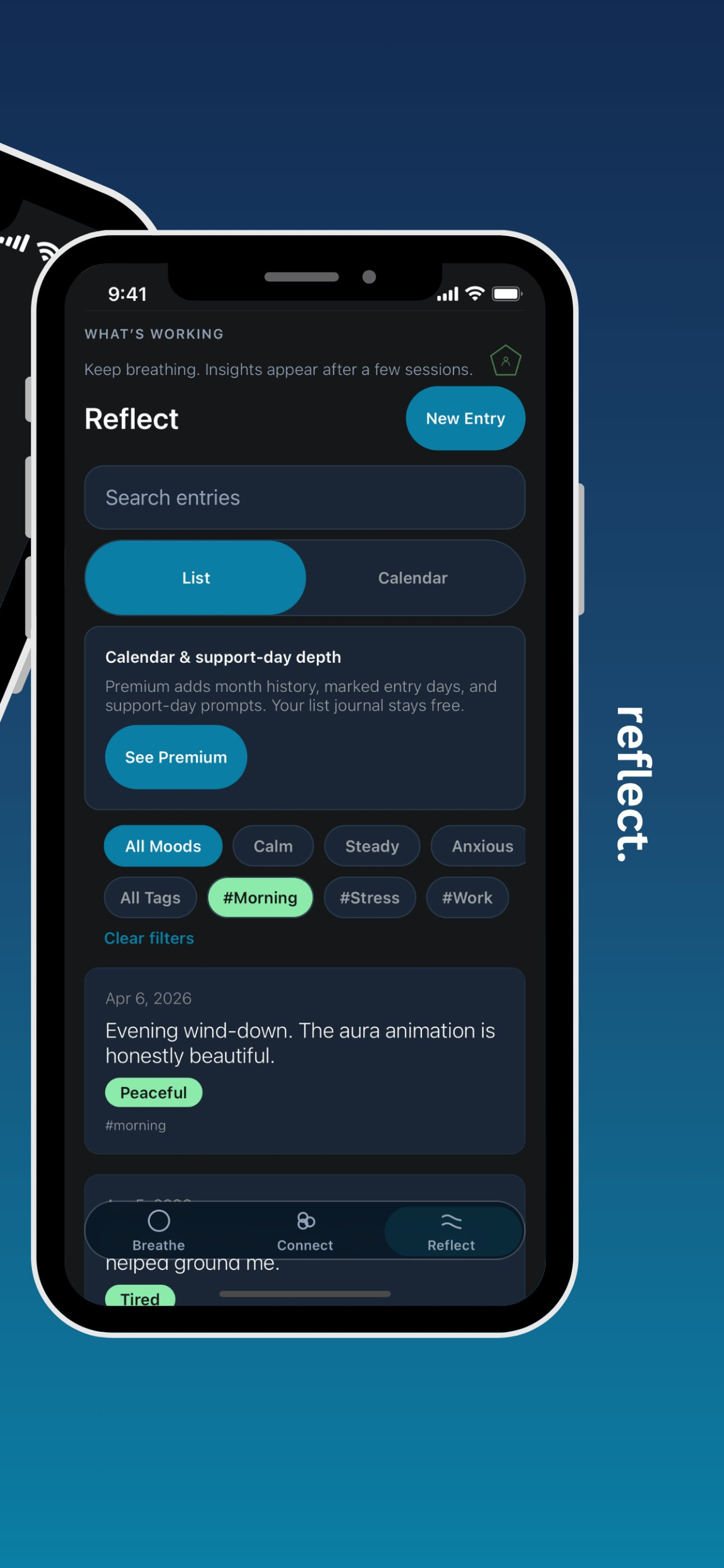 Reflect — journal entries with mood and tag filters